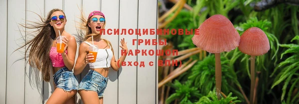 экстази Арсеньев