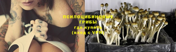 СК Аркадак