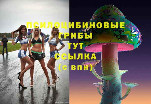 ешки Армянск