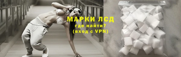 СК Аркадак