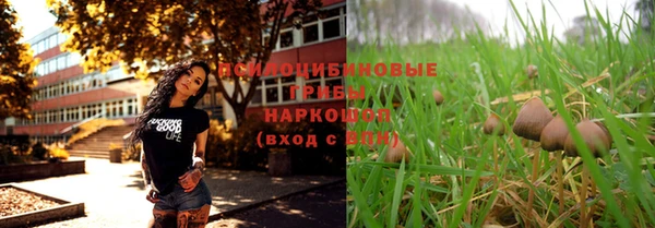 СК Аркадак