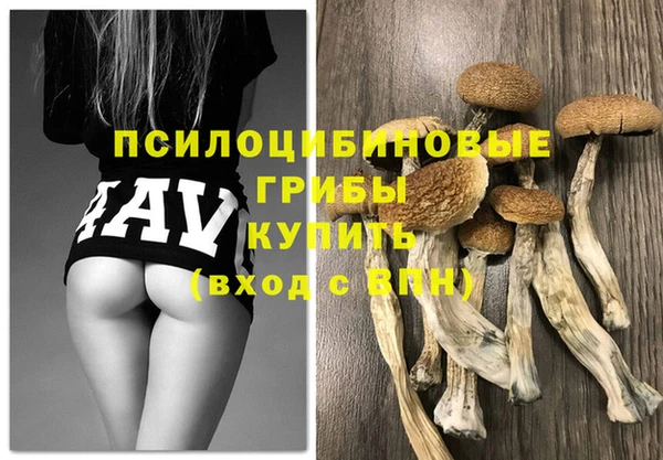 СК Аркадак