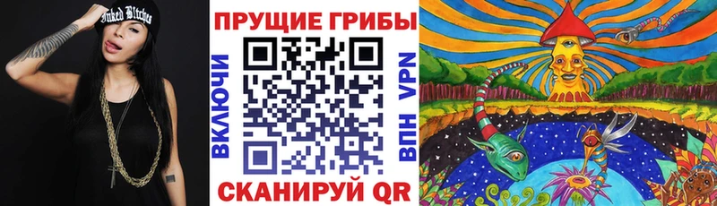 Галлюциногенные грибы мицелий  Лермонтов 